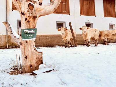 Bild 93 aus Glatz Hof