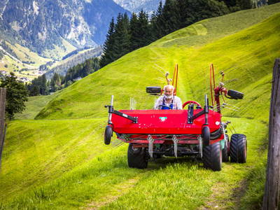 Bild 75 aus  Neuhaus