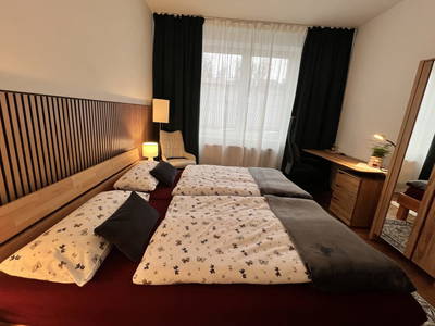 Bild 20 aus  Privatzimmer Burgpanorama