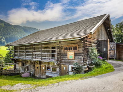 Bild 138 aus  Pesbichl