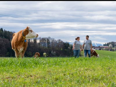 Bild 194 aus  Pimperlhof