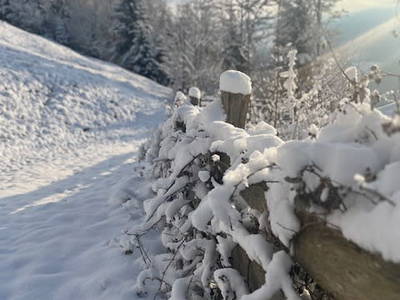 Bild 100 aus  Ascherhof