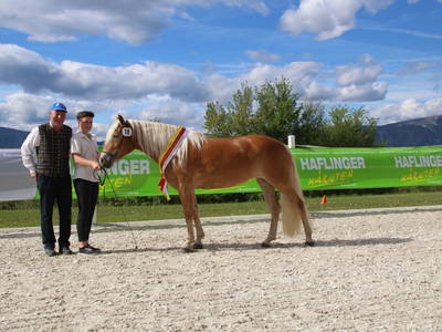 Bild 51 aus  Pfeiferhof