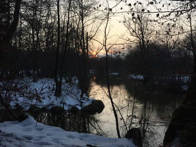 Bild 37 aus  Wastlbauer 