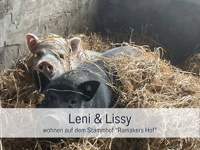 Bild 33 aus  Meine Schule Sehlingen