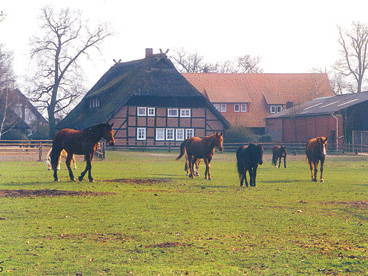 Bild 14 aus  Ferienhof Klaucke