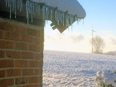 Bild 56 aus  Sonis kleine Farm Grömitz