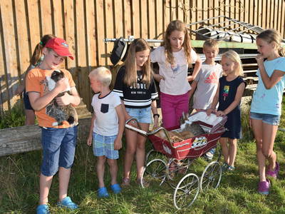 Bild 114 aus  Feriengut Unterhochstätt