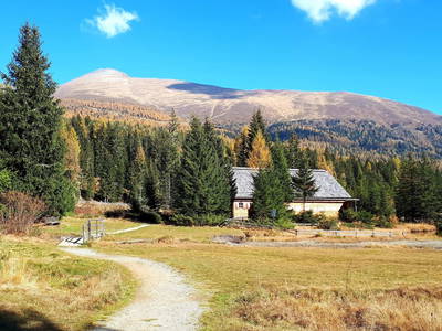 Bild 115 aus  Schwarzenbichlalm