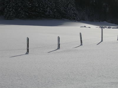 Bild 38 aus  Bio- und Kinderbauernhof Voglbach