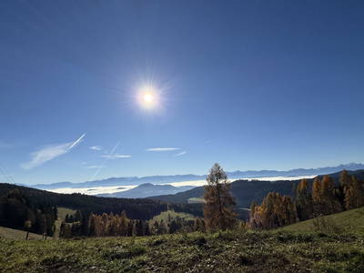 Bild 14 aus  Schlintl-Hof