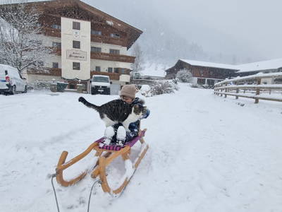 Bild 148 aus  Alfaierhof & Bergheimat