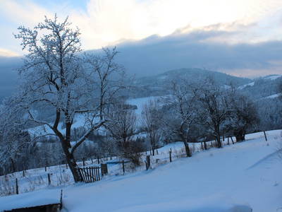 Bild 10 aus  Hirmhof