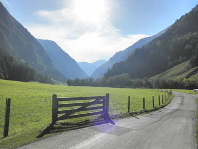 Bild 36 aus  Bio- und Kinderbauernhof Voglbach