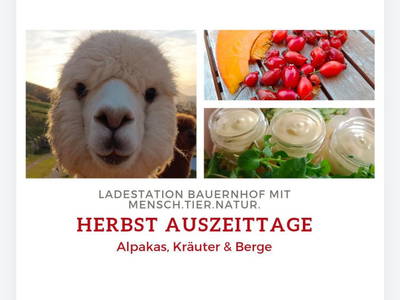 Bild 119 aus  Bergbauernhof Stauder, vlg. Oberrauter