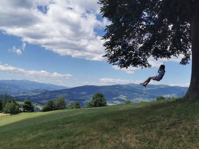 Bild 6 aus  Dohrhütte