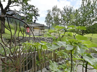 Bild 87 aus  Biohof Mathies