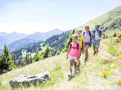 Bild 140 aus  Holzackerhof