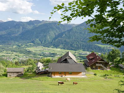 Bild 6 aus  Panoramahof am Goldberg