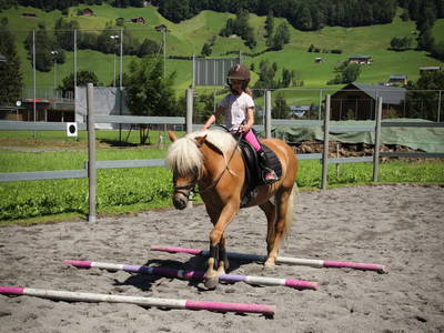 Bild 15 aus  Haus Bergquell mit Pferdestall