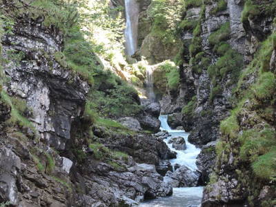 Bild 171 aus  Rimmlhof & Rimmlstube