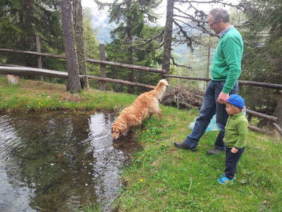 Bild 6 aus  Thürerhütte