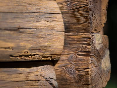 Bild 69 aus  Wichtelhütte