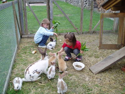 Bild 25 aus  Ferienwohnungen & Bungalows am Faaker See - Karglhof OG