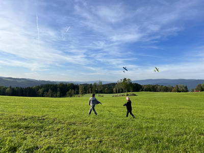 Bild 115 aus  Wittinghof