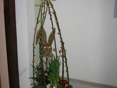 Bild 25 aus  Bio-Bauernhof Kranzbauer