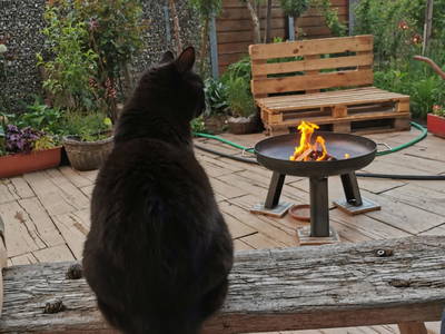 Bild 14 aus  Bio Weinbauernhof Wiesinger