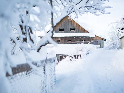 Bild 22 aus  klein Lenzhof