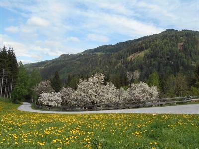 Bild 55 aus Umundum Hütte