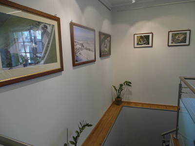 Bild 113 aus  Lugerfarm