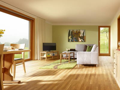 Bild 15 aus  Schweizer Hof