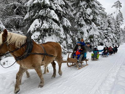 Bild 31 aus  Pension Baarblick