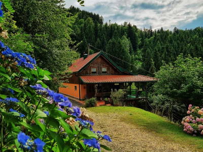 Bild 8 aus  Russmannkeusche