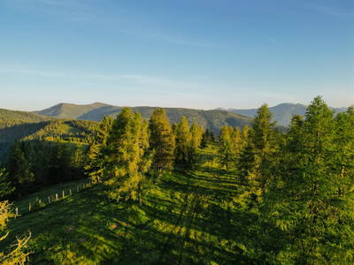 Bild 20 aus Glatz Hof