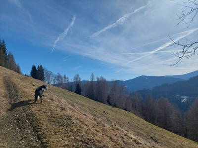 Bild 33 aus  Almhaus Maurer