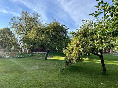 Bild 70 aus  Beim Leben