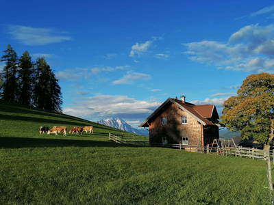 Bild 35 aus  Ferienhaus "Bichlhütte"