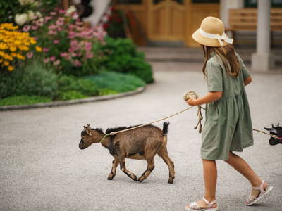 Bild 132 aus  Linharterhof Zimmer