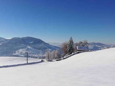 Bild 37 aus  Blickfang Bregenzerwald