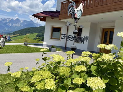 Bild 96 aus  Bio Schartenhof