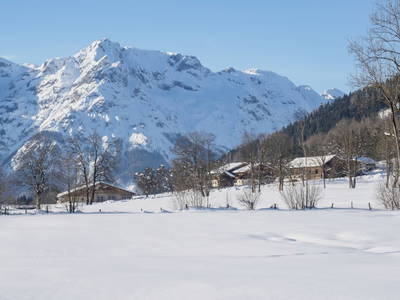 Bild 51 aus  Häuslhof