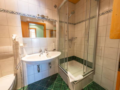 Bild 85 aus  Pension Zechnerhof