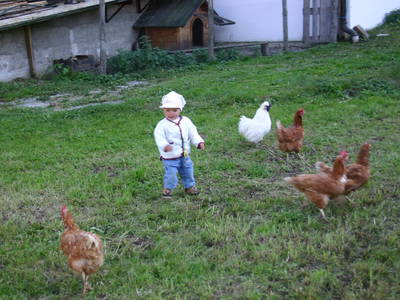 Bild 57 aus  Waldhof