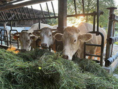 Bild 68 aus  Biohof Besenbäck