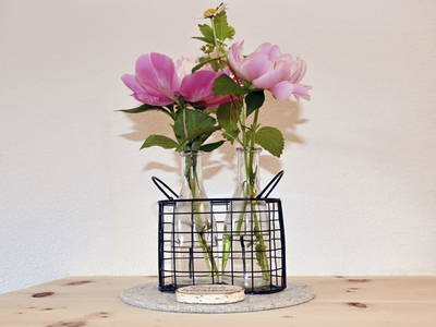 Bild 64 aus  Biohof Mathies