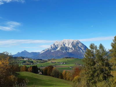 Bild 12 aus  Pferdehof Gugganig